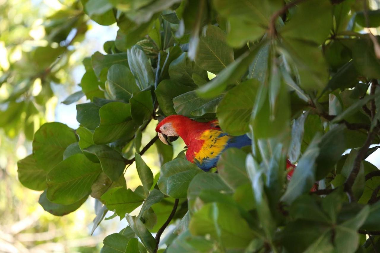 Villa Kiskadee - Beautiful Mountain Views With Private Pool Quepos Esterno foto